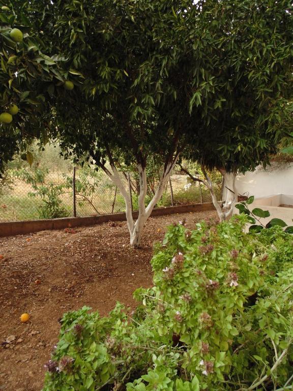 Villa Melini باتيتيري الغرفة الصورة