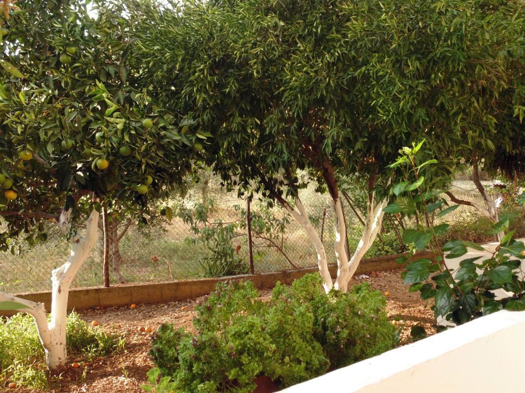 Villa Melini باتيتيري المظهر الخارجي الصورة